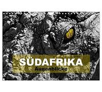 SÜDAFRIKA Augenblicke (Wandkalender 2026 DIN A4 quer), CALVENDO Monatskalender: Südafrika - Faszination Safari