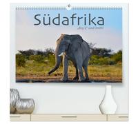 Südafrika - Big 5 und mehr (hochwertiger Premium Wandkalender 2026 DIN A2 quer), Kunstdruck in Hochglanz: Faszinierende Fotos von Büffel, Leopard, Löwe, Nashorn, Elefant und anderen.