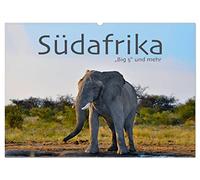 Südafrika - Big 5 und mehr (Wandkalender 2026 DIN A2 quer), CALVENDO Monatskalender: Faszinierende Fotos von Büffel, Leopard, Löwe, Nashorn, Elefant und anderen.