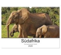 Südafrika - Eine beeindruckende Tierwelt (Wandkalender 2026 DIN A3 quer), CALVENDO Monatskalender: Die Wildtiere Südafrikas eindrucksvoll fotografiert