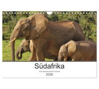 Südafrika - Eine beeindruckende Tierwelt (Wandkalender 2026 DIN A4 quer), CALVENDO Monatskalender: Die Wildtiere Südafrikas eindrucksvoll fotografiert