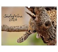 Südafrika (Wandkalender 2026 DIN A3 quer), CALVENDO Monatskalender: Südafrika und seine Tierwelt von Kirsten und Holger Karius
