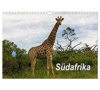 Südafrika (Wandkalender 2026 DIN A4 quer), CALVENDO Monatskalender: Südafrika ist ein interessantes Land mit wunderschönen Landschaften und aufregender Natur.