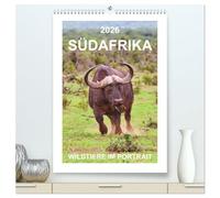 SÜDAFRIKA - WILDTIERE IM PORTRAIT (hochwertiger Premium Wandkalender 2026 DIN A2 hoch), Kunstdruck in Hochglanz: Südafrika, ein Land wo die wilden ... fazinierende Tierportraits von Wildtieren.