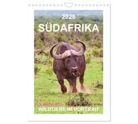 SÜDAFRIKA - WILDTIERE IM PORTRAIT (Wandkalender 2026 DIN A4 hoch), CALVENDO Monatskalender: Südafrika, ein Land wo die wilden Tiere noch ein Leben in ... fazinierende Tierportraits von Wildtieren.
