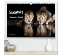 Südafrika wunderbare Tierwelt (hochwertiger Premium Wandkalender 2026 DIN A2 quer), Kunstdruck in Hochglanz: Einblick in die Tierwelt Südafrikas