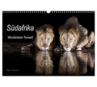 Südafrika wunderbare Tierwelt (Wandkalender 2026 DIN A3 quer), CALVENDO Monatskalender: Einblick in die Tierwelt Südafrikas