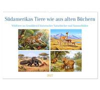 Südamerikas Tiere wie aus alten Büchern (Wandkalender 2027 DIN A2 quer), CALVENDO Monatskalender: Zeitlose Tierdarstellungen, die an die großen ... früherer Generationen erinnern.