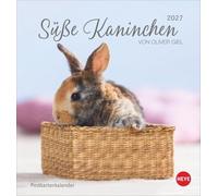 Süße Kaninchen Postkartenkalender 2027: Tierfotograf Oliver Giel setzt in einem kleinen Kalender niedliche Häschen in Szene. Tischkalender im Postkartenformat.