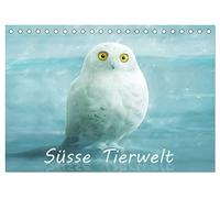 Süsse Tierwelt / CH-Version / Geburtstagskalender (Tischkalender 2026 DIN A5 quer), CALVENDO Monatskalender: Der lustig-süsse Tierkalender für jung und alt.