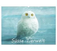 Süsse Tierwelt / CH-Version / Geburtstagskalender (Wandkalender 2026 DIN A2 quer), CALVENDO Monatskalender: Der lustig-süsse Tierkalender für jung und alt.