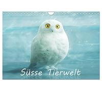 Süsse Tierwelt / CH-Version / Geburtstagskalender (Wandkalender 2026 DIN A4 quer), CALVENDO Monatskalender: Der lustig-süsse Tierkalender für jung und alt.