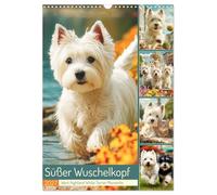 Süßer Wuschelkopf. West Highland White Terrier Momente (Wandkalender 2027 DIN A3 hoch), CALVENDO Monatskalender: Die fröhlichen, mutigen und charmanten Westies in zauberhaften Bildern