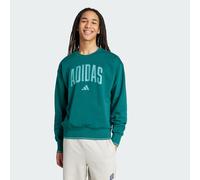 Sueur universitaire Collegiate Green / Powder Teal XS
