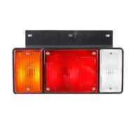 SUEVAS Feux arrière Feu Arrière De Voiture Et Camion, Clignotant, Feu De Stop, Pour Isuzu Pour NPR Pour ELF Pour NPR Pour NKR Pour NHR Pour NLR 1987-2022 Feux arrières auto (Couleur : Only Left)