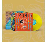 Sufjan Stevens & Lowell Brams Aporia (Vinyl)