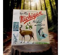 Sufjan Stevens - Michigan [VINYL]