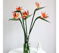 SUFUBAI - Lot de 5 fleurs d’oiseau de paradis Strelitzia artificielles en soie avec longue tige pour la maison, le bureau, la décoration de mariage