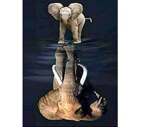 Sugamm DIY Diamond Painting Afrique L'éléphant Complet Kits, 5D Broderie Peinture Diamant Painting Réflexion Animal Kit Complet De Croix Strass Art Craft pour Home Décoration Murale 30x40 cm
