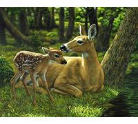 Sugamm DIY Diamond Painting Cerf Forêt Complet Kits, 5D Broderie Peinture Diamant Painting Animal Kit Complet De Croix Strass Art Craft Pour Home Décoration Murale 30x40 cm