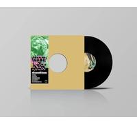 SUGAR HORSE - NOT A SOUND IN HEAVEN [Vinilo]