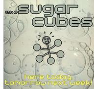 SUGARCUBES - HERE TODAY, TOMORROW, NEXT WEEK