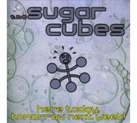 Sugarcubes - Here Today, Tomorrow Next Week!