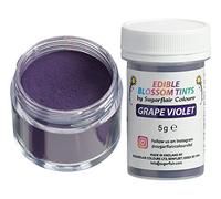 Sugarflair Colours Blossom Tint Dust Grape Purple - Colorant Alimentaire Poudre pour Gâteaux, Pâte à Sucre, Glaçage, Chocolat, Crème au beurre, Macarons - 5g