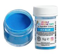 Sugarflair Colours Blossom Tint Dust Ice Blue - Colorant Alimentaire Poudre pour Gâteaux, Pâte à Sucre, Glaçage, Chocolat, Crème au beurre, Macarons - 5g