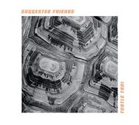 Suggested Friends - Turtle Taxi