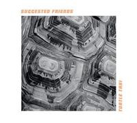 SUGGESTED FRIENDS - TURTLE TAXI - CD - G3z