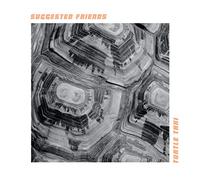Suggested Friends - Turtle Taxi [Import]