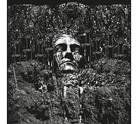 Suicide Forest - Reluctantly