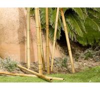 Suinga Lot de 15 piquets décoratifs en bambou - 180 cm - 35/40 mm - Piquets ronds en bois - Piquets de jardin - Séparation de pièce