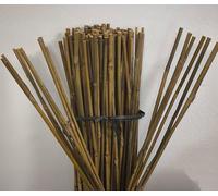 Suinga Lot de 50 Tuteur en Bambou 150 cm, diamètre 10-12 mm. Tiges de Bambou à Usage agricole, supportant Les Arbres, Les Plantes et Les légumes