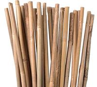 Suinga Lot de 50 Tuteurs en Bambou 100 cm, 10-12 mm - Tubes pour Plantes et Arbres, Baguettes, Cannes, Tiges