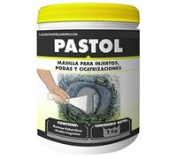 Suinga Mastic pour Greffes et Tailles 1 kg | Protège, Répare et Régénère les Blessures des Plantes | Pâte cicatrisante arbres | Pâte cicatrisante taille