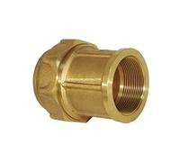 Suinga Raccord Femelle en Laiton 25mm x 3/4'' pour Tuyau en Polyéthylène | Connexion Durable et Résistante | Tailles Disponibles, doré