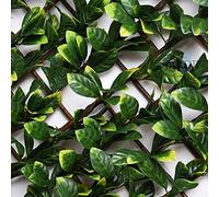 Suinga - Treillis en osier extensible avec feuilles de laurier 1 x 2 mètres.