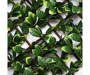Suinga - Treillis en osier extensible avec feuilles de laurier 1 x 2 mètres.