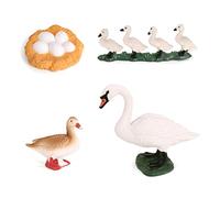 SUIOPPYUW 1 Ensemble de Kit de Cycle de Vie Figurines d'insectes en matière Plastique intéressants modèles de Croissance sur Le thème de la Nature pour Projet Scolaire, Cygne