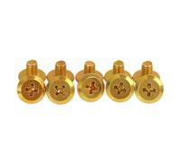 Suite de vis à embout fixe for couteau à deux trous, Compatible avec Wahl,8591 8504 8148, pièces de rechange for tondeuse(Gold 10pcs)