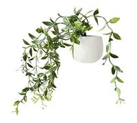 SUJING 1 aimant magnétique pour réfrigérateur - Motif plante succulente - Décoration d'intérieur - Autocollant pour réfrigérateur - Message créatif - Cadeau (1 pièce)