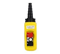 Sujurio A2913 Suspension de commande de levage avec poignée de palan électrique, 2 boutons avec deux vitesses et fonctions d'arrêt d'urgence