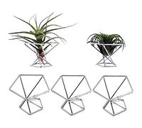 Sujurio Lot de 5 supports pour plantes aériennes Tillandsias - Purificateur d'air - Support de fougère - Argenté