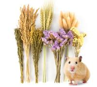 Sukh Lot de 60 sprays naturels pour hamster - Pour hamsters nains syriens, gerbilles, lapins, autres animaux domestiques