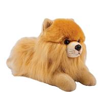 Suki Gifts 12144 Doudou Poméranien allongé en forme de chien Poméranien Multicolore