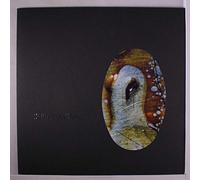 Sula Bassana - Dreamer (10th Anniversary) [Import]