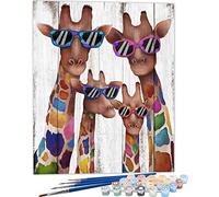 SULISO Peinture par Numéro Fleur Adulte avec Pinceaux et Acryliques Bricolage Peintures Kits pour Adultes Enfants Seniors Débutant,Sans Cadre 40x50cm,Jirafa