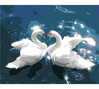 SULISO Peinture par Numéro Fleur Adulte avec Pinceaux et Acryliques Bricolage Peintures Kits pour Adultes Enfants Seniors Débutant,Sans Cadre 40x50cm,Cygne blanc